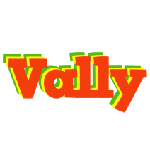 Vally bbq logo