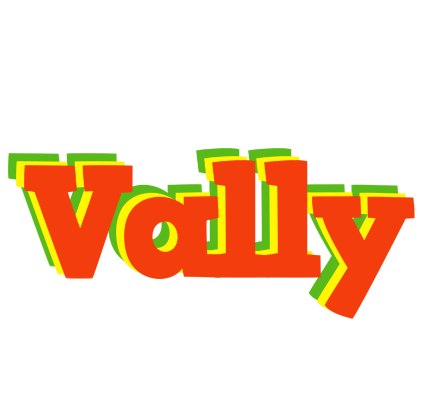 Vally bbq logo