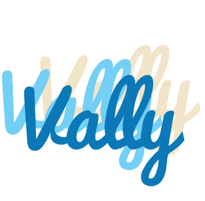 Vally breeze logo