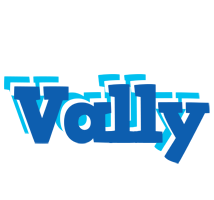 Vally business logo