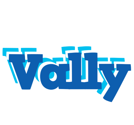 Vally business logo
