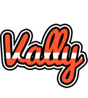 Vally denmark logo