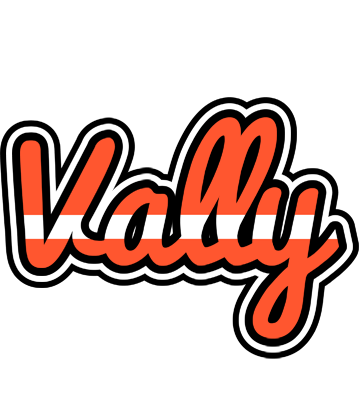 Vally denmark logo