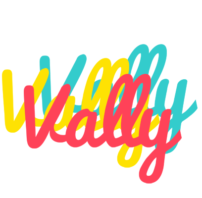 Vally disco logo