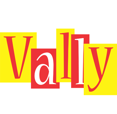 Vally errors logo