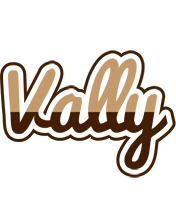 Vally exclusive logo