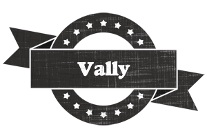 Vally grunge logo