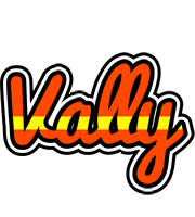 Vally madrid logo