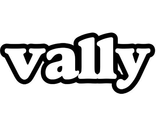 Vally panda logo