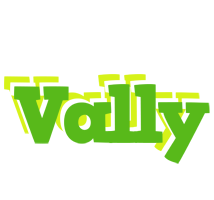 Vally picnic logo