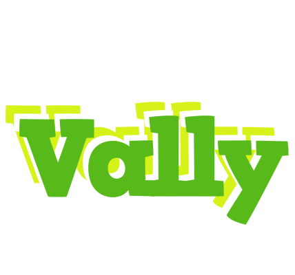 Vally picnic logo