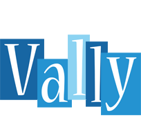 Vally winter logo