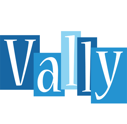 Vally winter logo