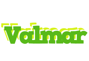 Valmar picnic logo