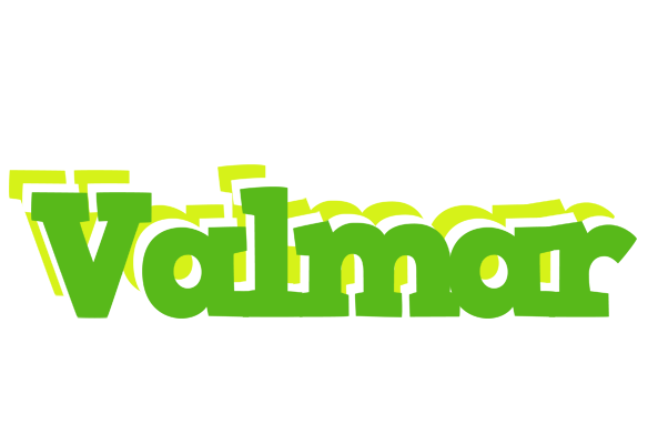 Valmar picnic logo