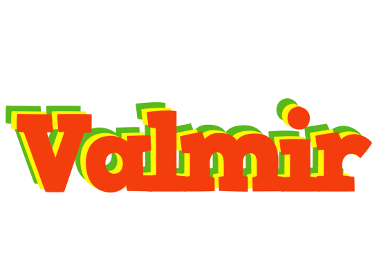 Valmir bbq logo