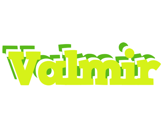 Valmir citrus logo