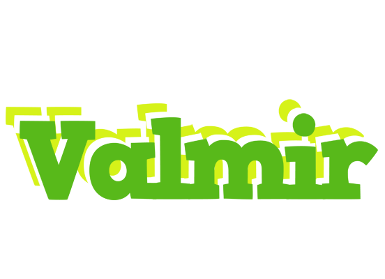 Valmir picnic logo