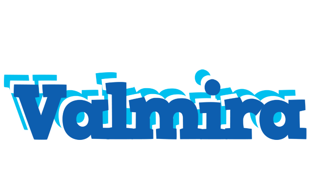 Valmira business logo