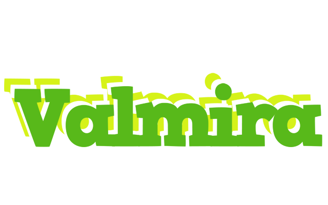 Valmira picnic logo