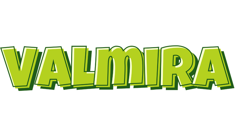 Valmira summer logo