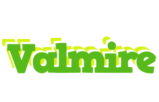 Valmire picnic logo