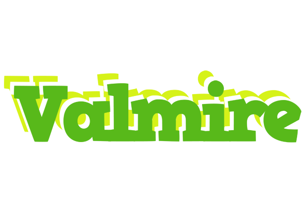 Valmire picnic logo