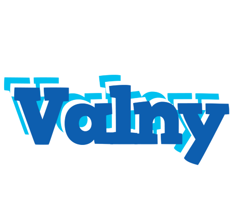 Valny business logo