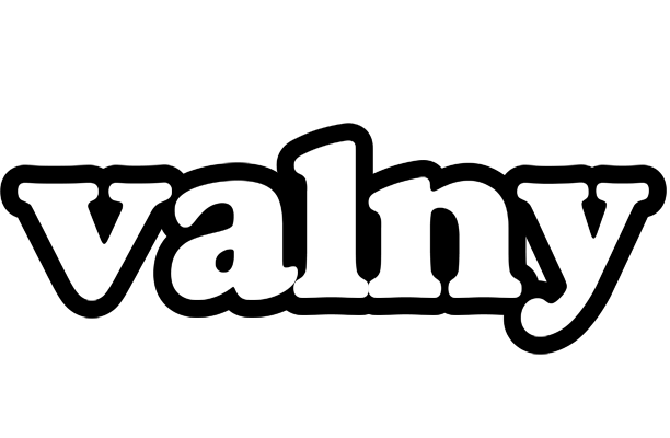 Valny panda logo