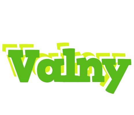 Valny picnic logo