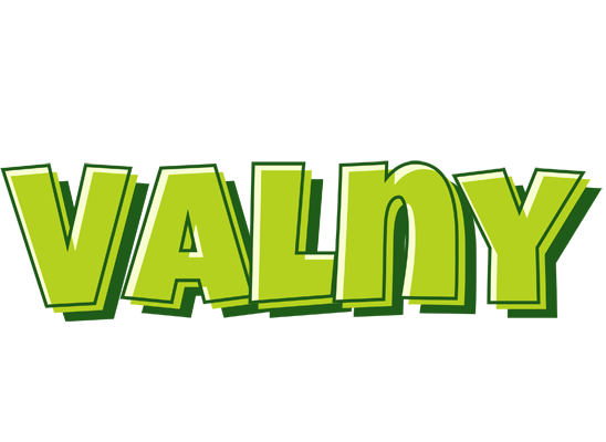 Valny summer logo