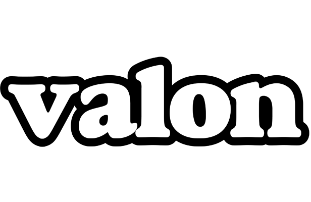 Valon panda logo