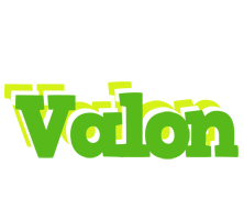 Valon picnic logo