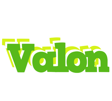 Valon picnic logo