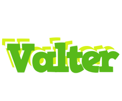 Valter picnic logo