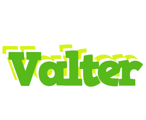 Valter picnic logo