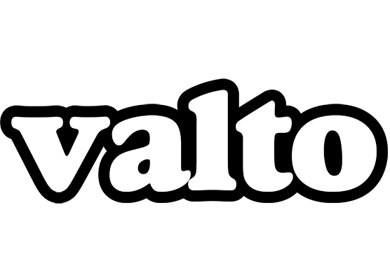 Valto panda logo