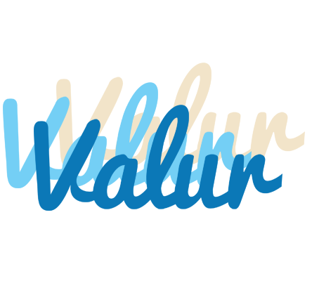 Valur breeze logo