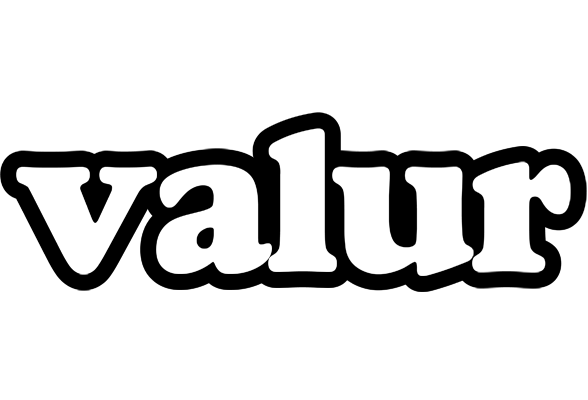 Valur panda logo