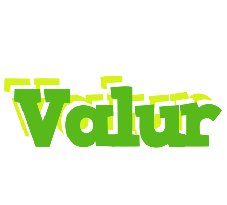 Valur picnic logo