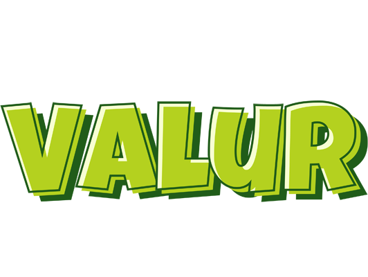 Valur summer logo