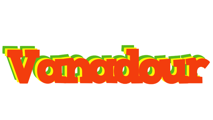 Vanadour bbq logo