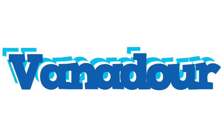 Vanadour business logo