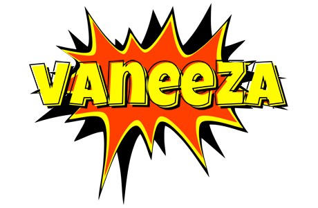 Vaneeza bazinga logo