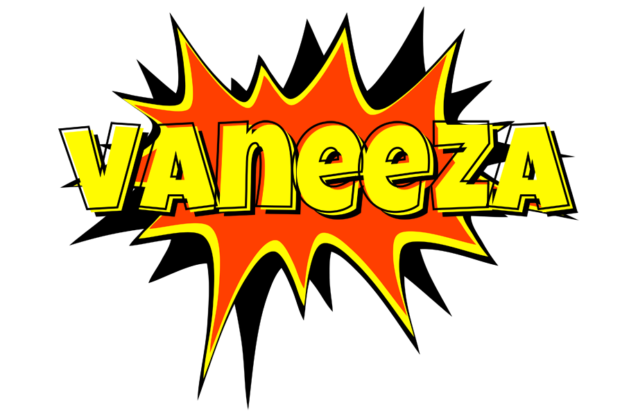Vaneeza bazinga logo