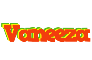 Vaneeza bbq logo