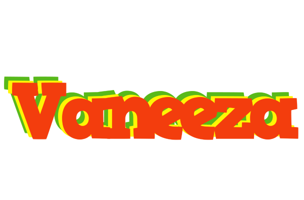 Vaneeza bbq logo