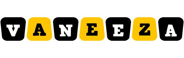 Vaneeza boots logo