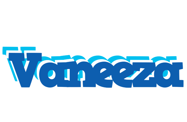 Vaneeza business logo