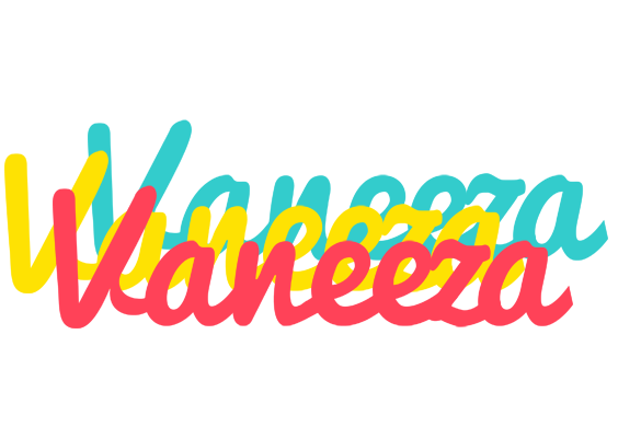 Vaneeza disco logo